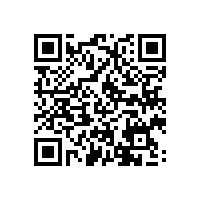 http://feupedicoes.fe.up.pt/website/book/9789727521326v1