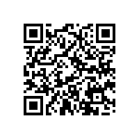 http://feupedicoes.fe.up.pt/website/book/9789727520589